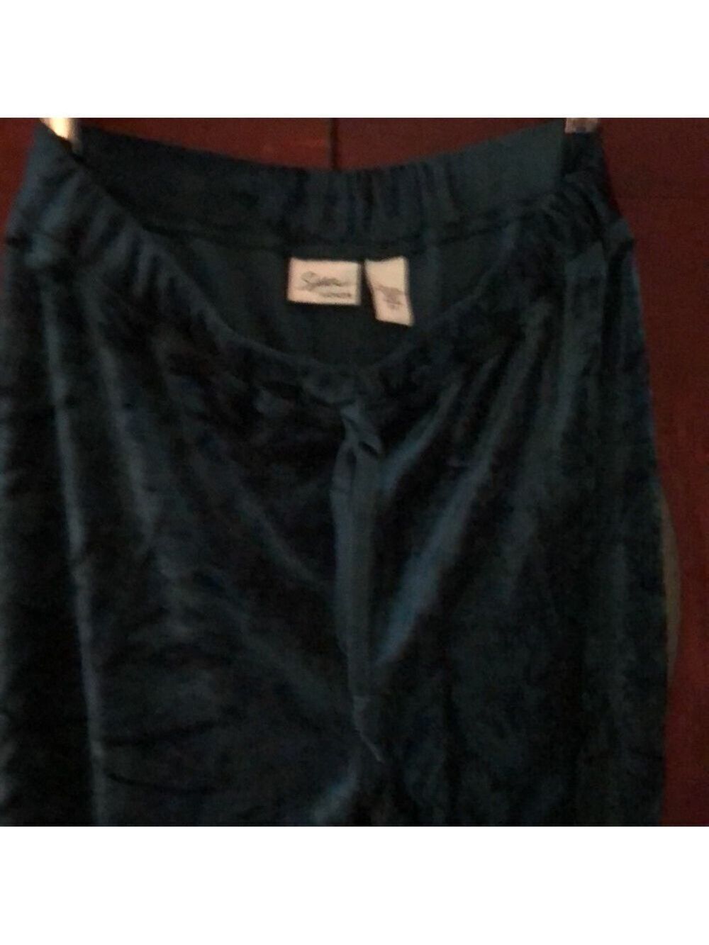 From Spa by Chicos Teal Velvet Pants (size 1) Like New - Picture 7 of 10